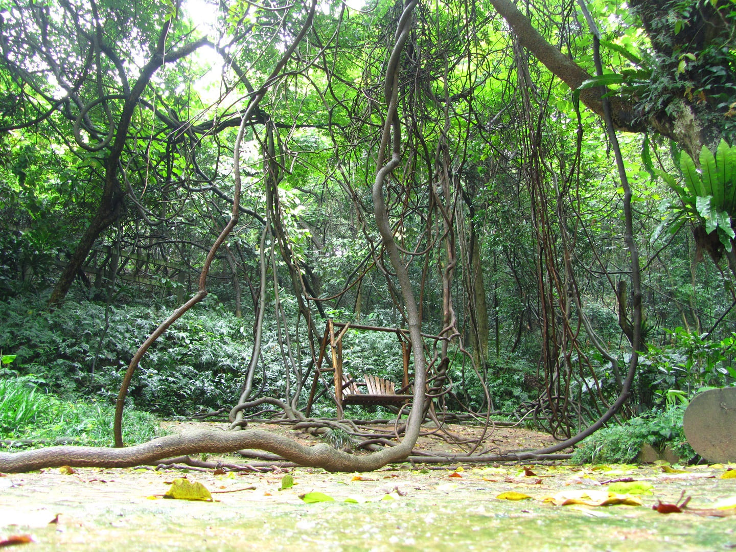 Guilin Botanical Garden