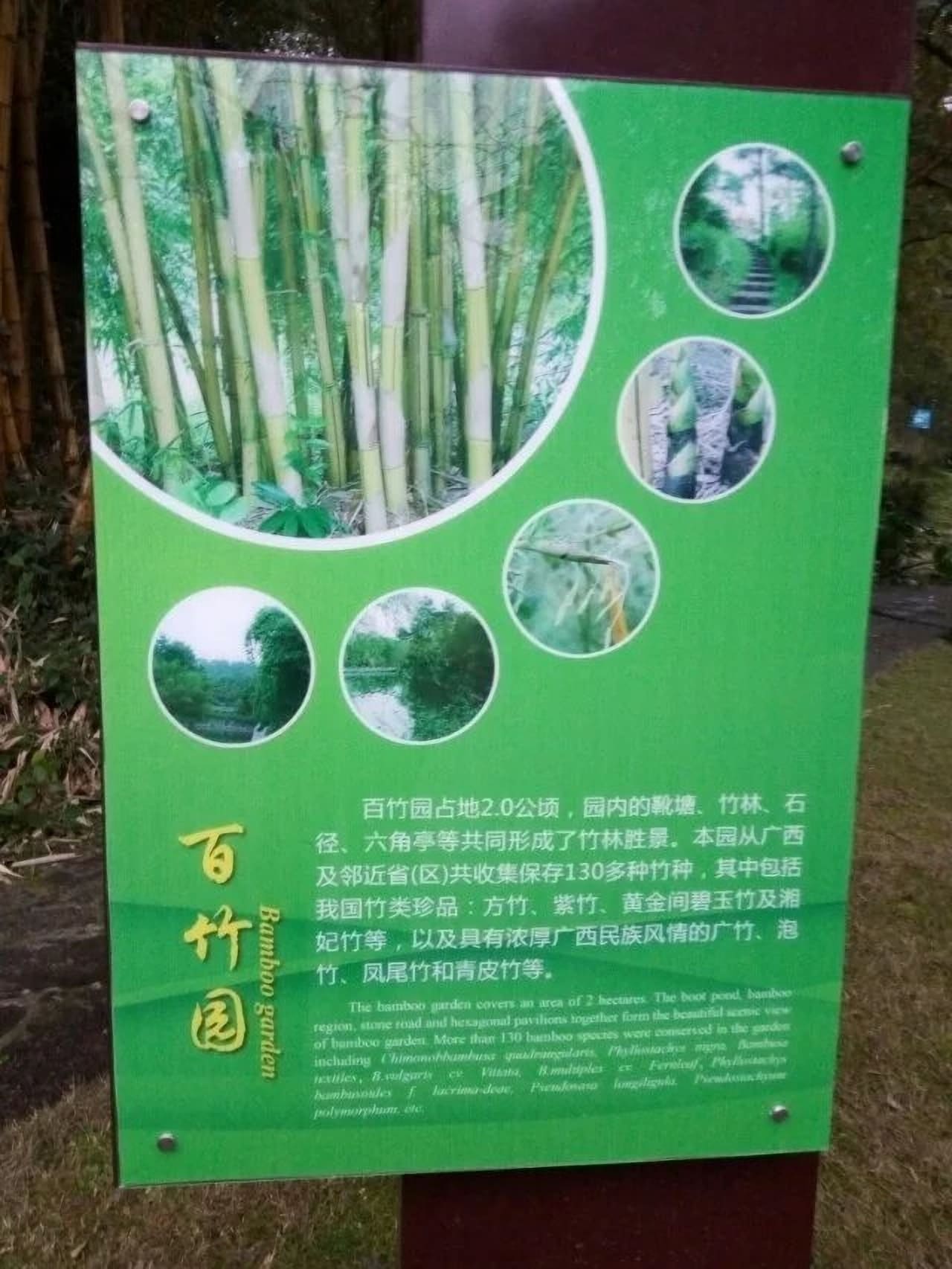 Guilin Botanical Garden